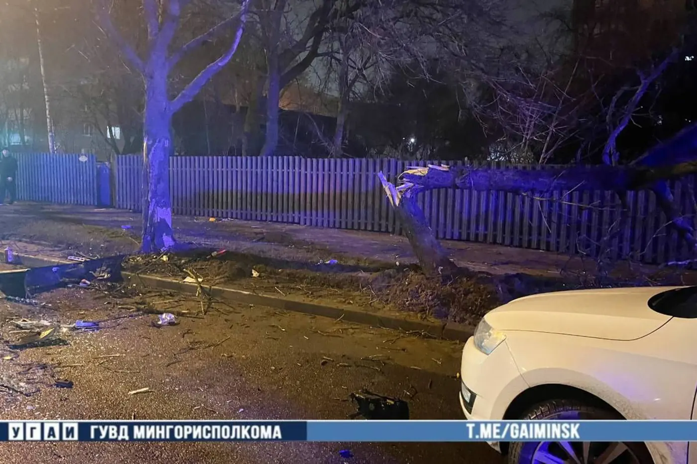 Авария на Орловской: BMW c 18-летним водителем врезался в дерево и BELGEE