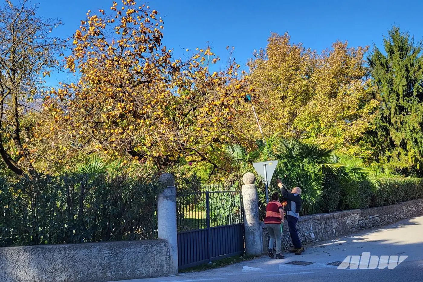 Hyundai против VW: удивительное путешествие по Италии и Испании на арендных автомобилях