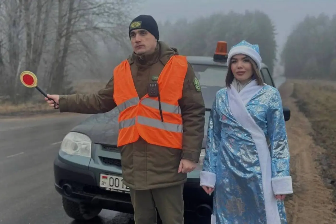 ГАИ и лесники ищут елки в автомобилях на дорогах