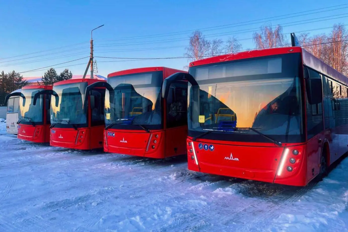 Четыре новых автобуса МАЗ поставлены на родину российского Деда Мороза