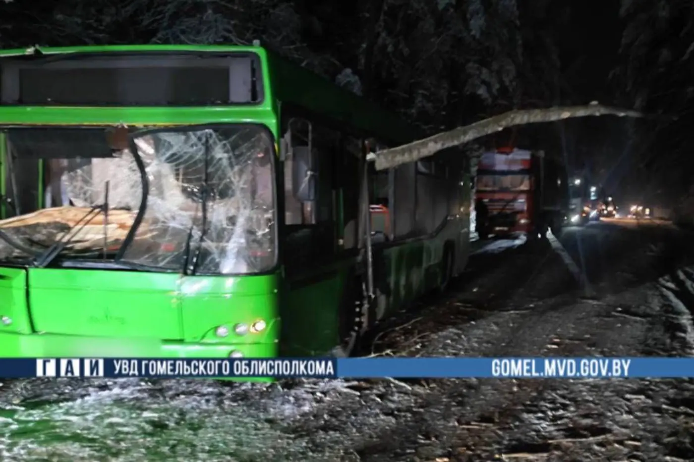 На трассе М10 на автобус упало дерево