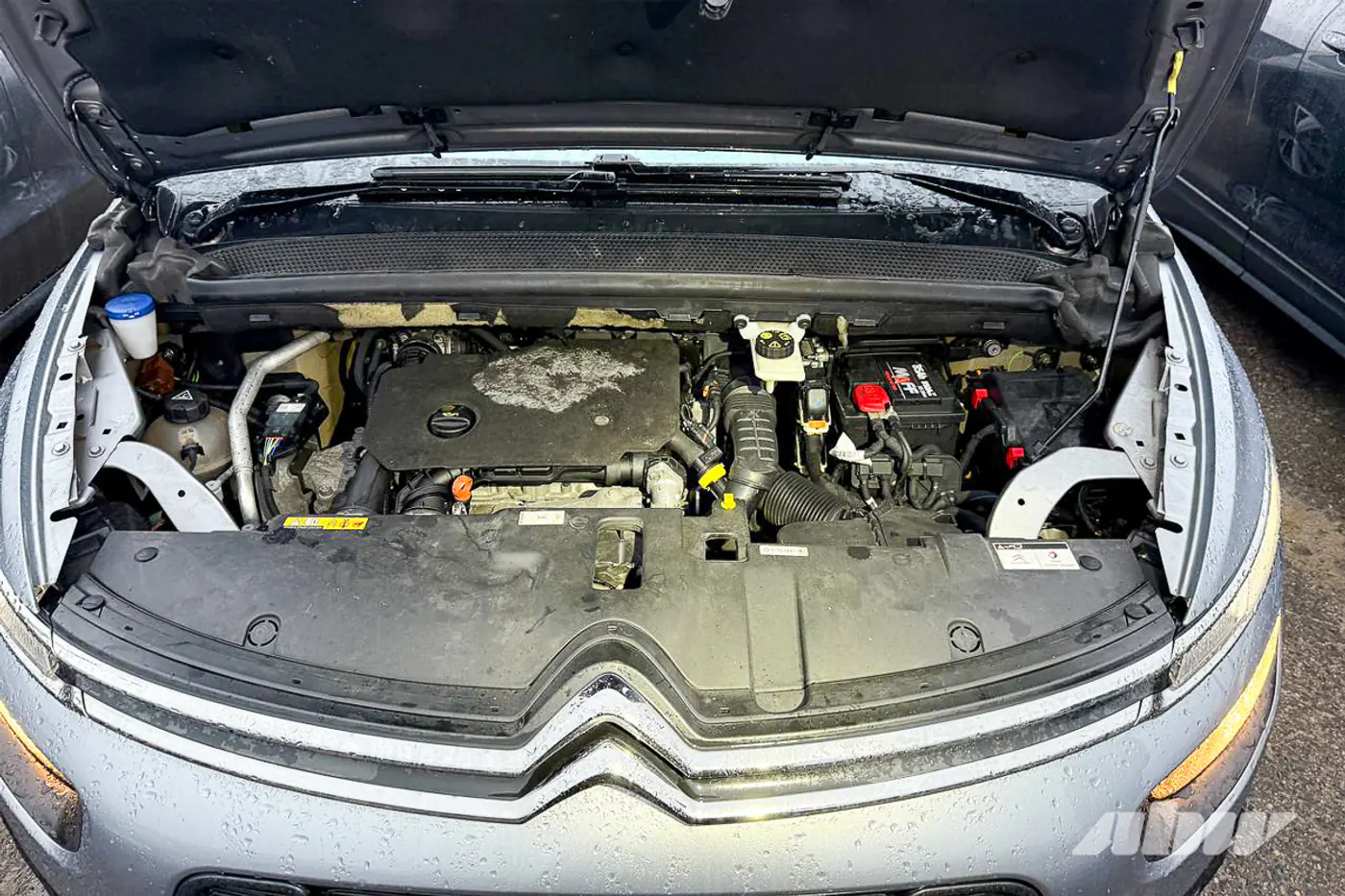 «Пипка замерзла», «аккум сдох», расход удвоился: с чем столкнулись автомобилисты в сильные морозы