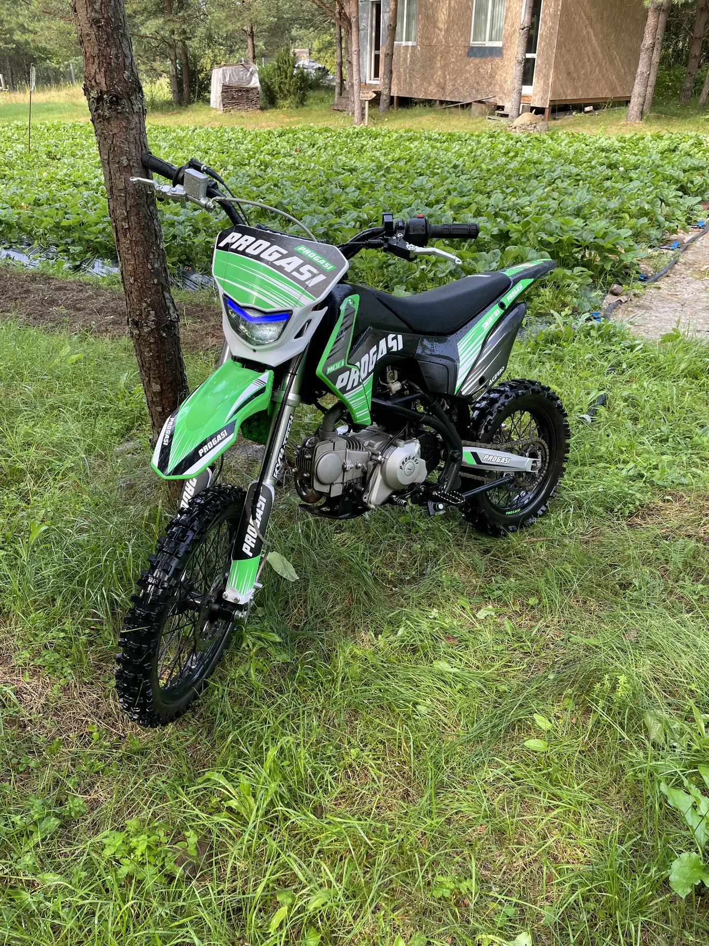 Progasi Smart 125, 2023