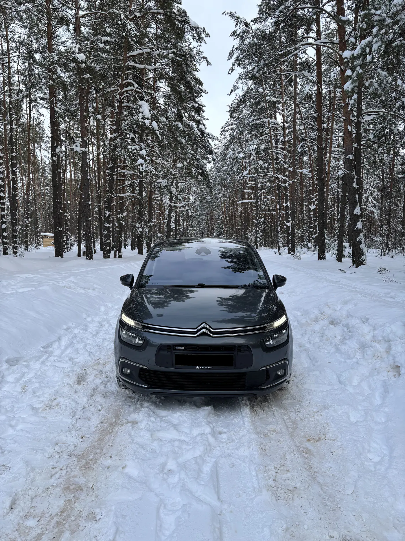 Citroen C4 Picasso II Рестайлинг, 2017