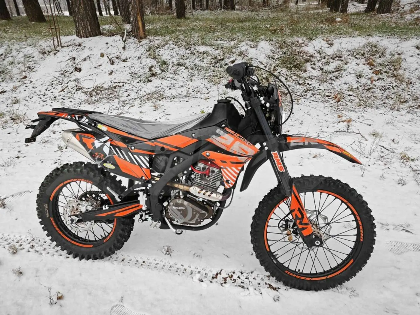 Regulmoto ZR, 2024