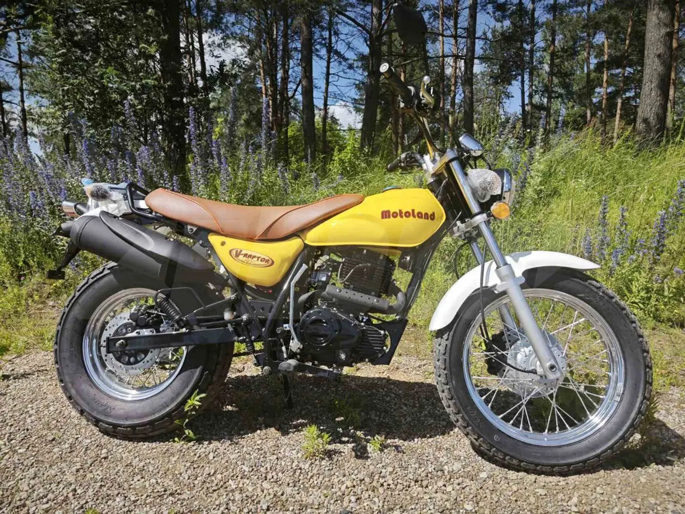 Motoland V-Raptor 250, 2025