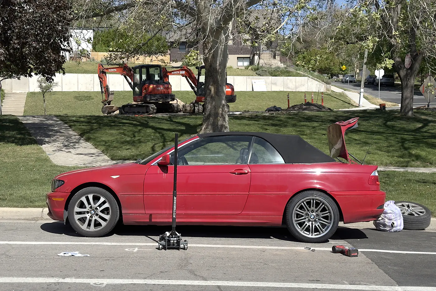 трогательные истории