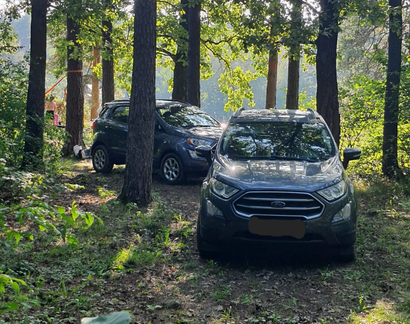 Ford EcoSport II Рестайлинг, 2019