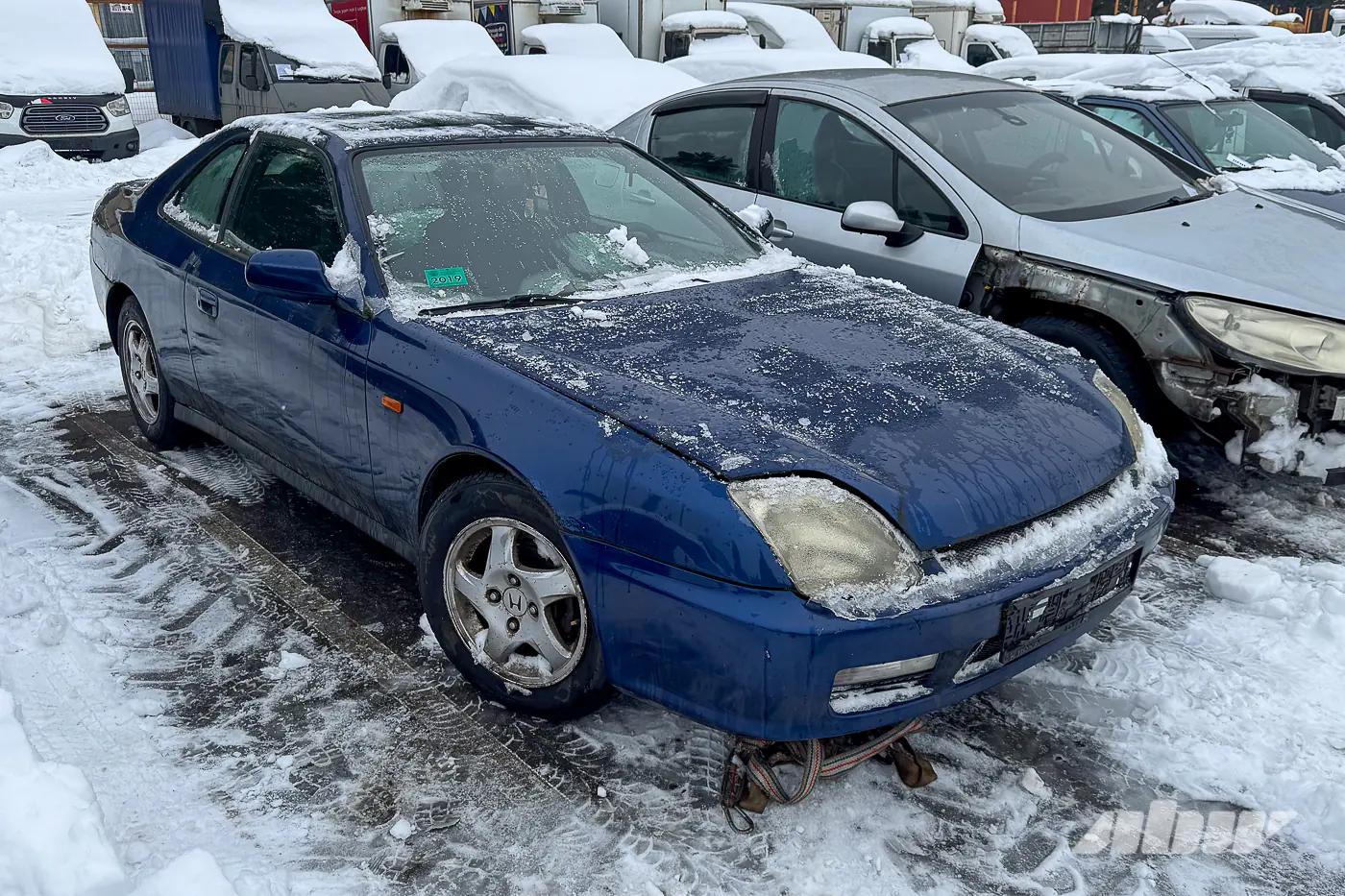 Nissan Skyline и не только: смотрим JDM в столичном конфискате
