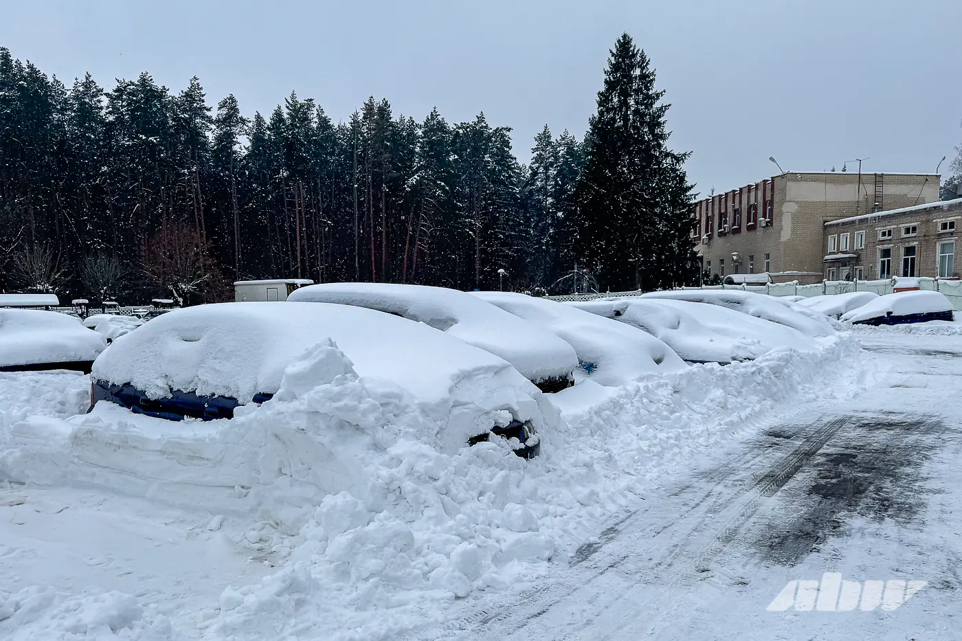 Nissan Skyline и не только: смотрим JDM в столичном конфискате