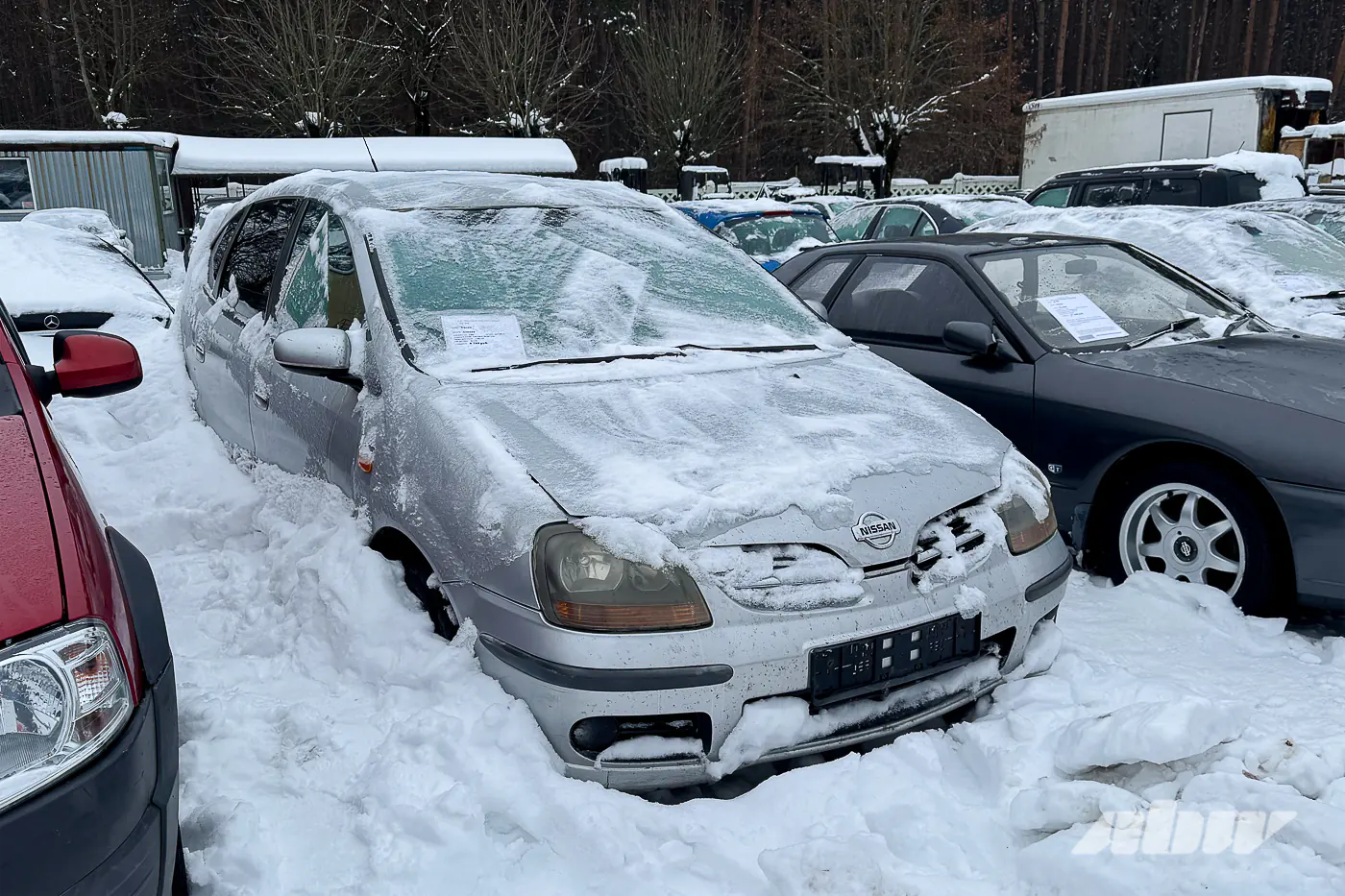 Nissan Skyline и не только: смотрим JDM в столичном конфискате