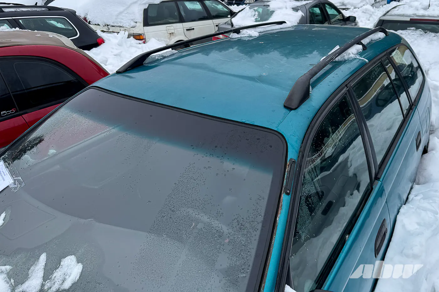 Nissan Skyline и не только: смотрим JDM в столичном конфискате