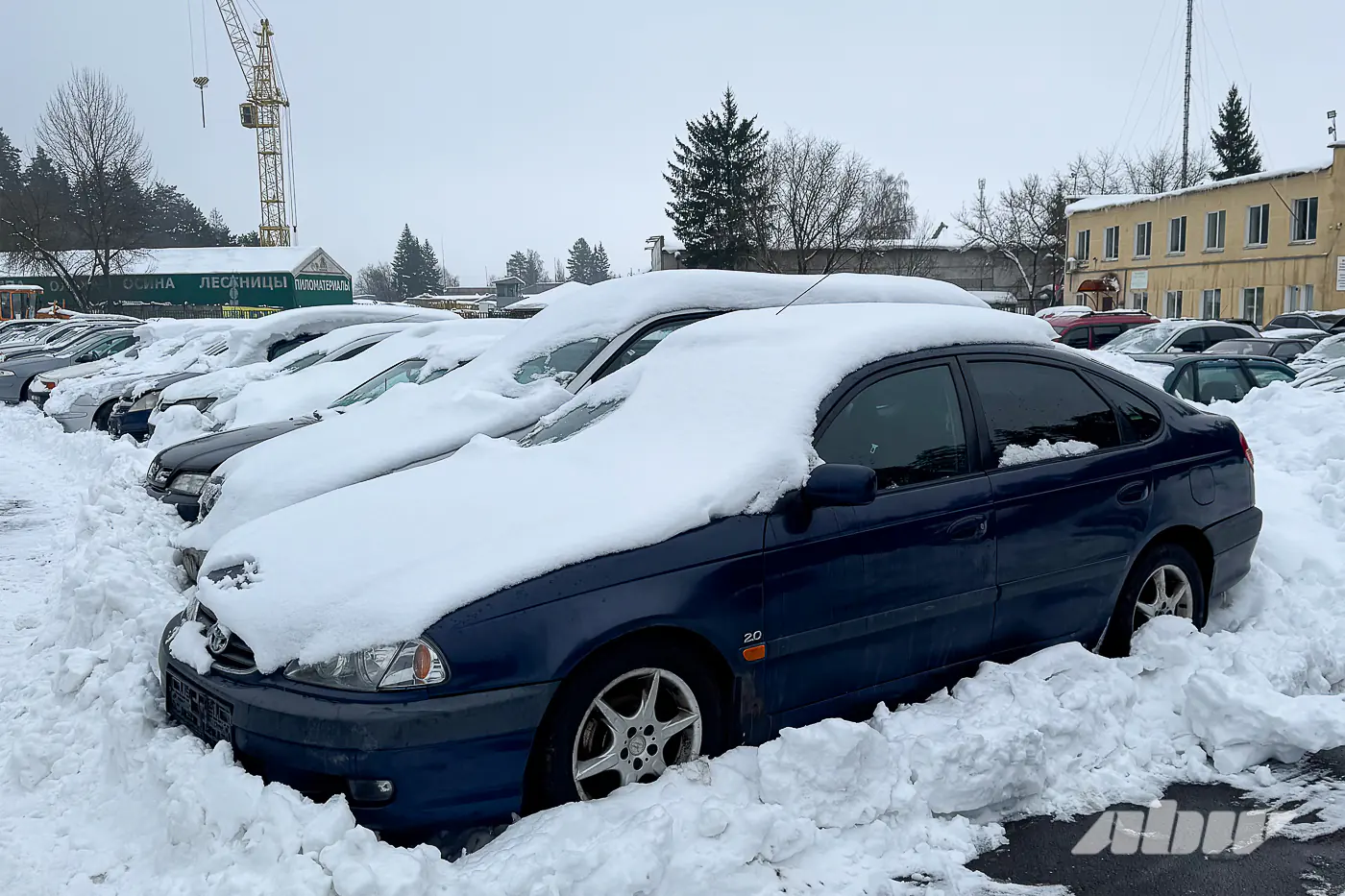 Nissan Skyline и не только: смотрим JDM в столичном конфискате