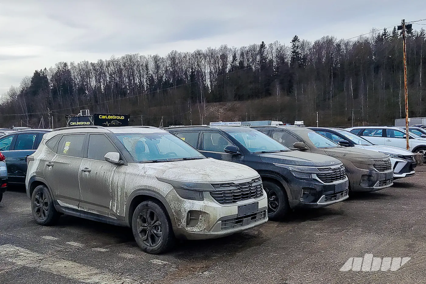 Уроки занимательной математики: как формируется цена автомобилей, ввозимых физлицами