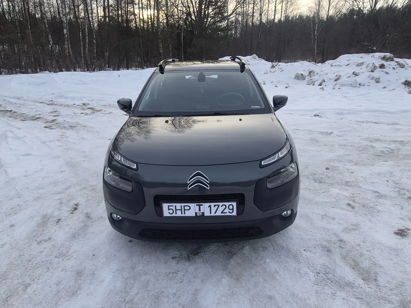 Citroen C4 Cactus ( 4 ) ,   10000 $