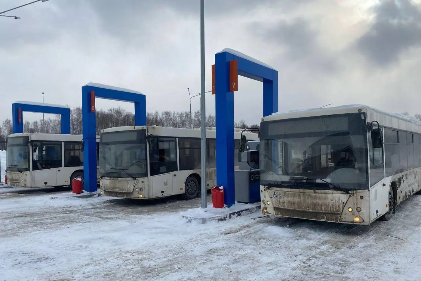 В Тольятти идет поставка 50 б/у автобусов МАЗ. Откуда они?