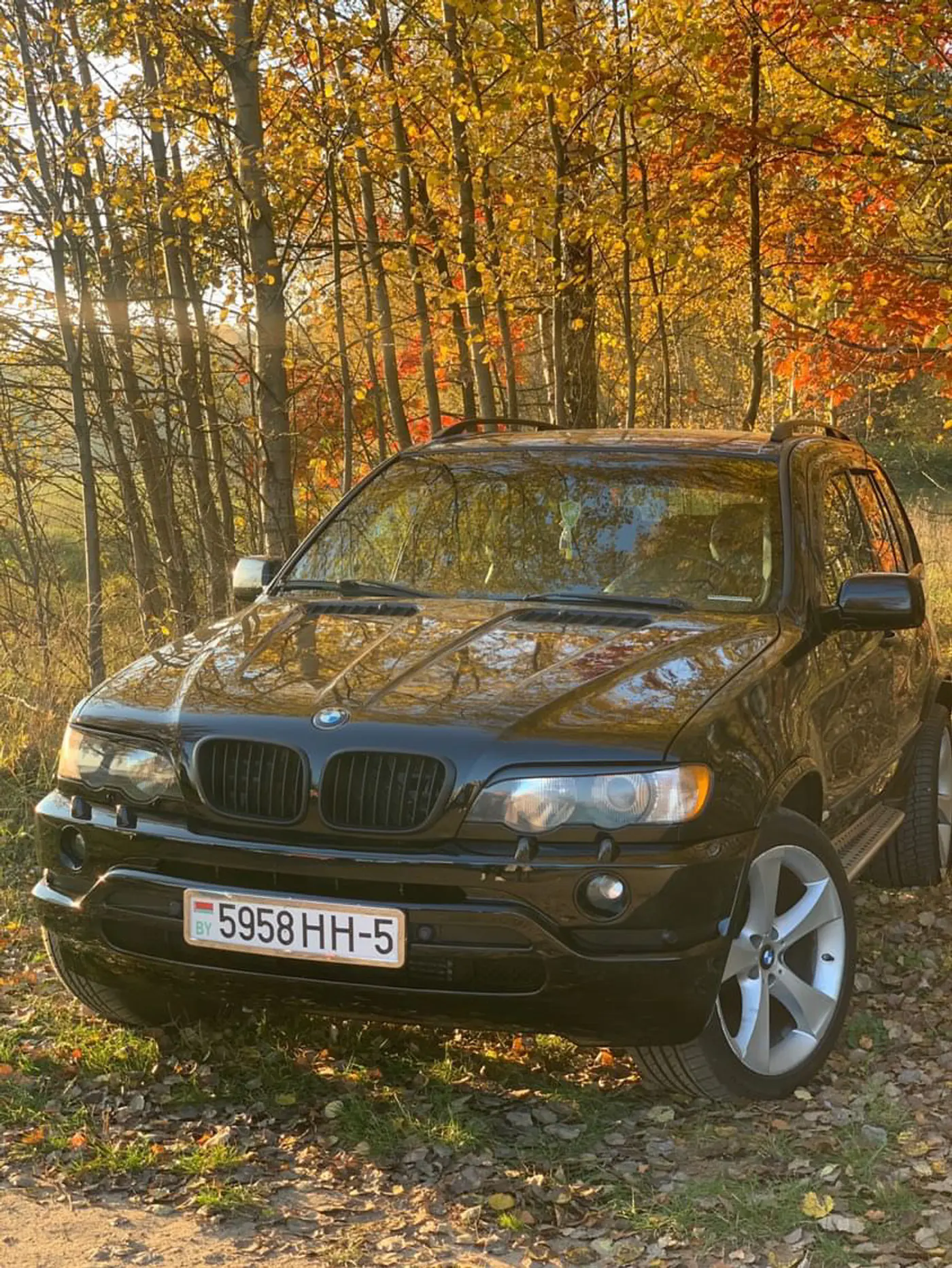 BMW X5 I (E53), 2001