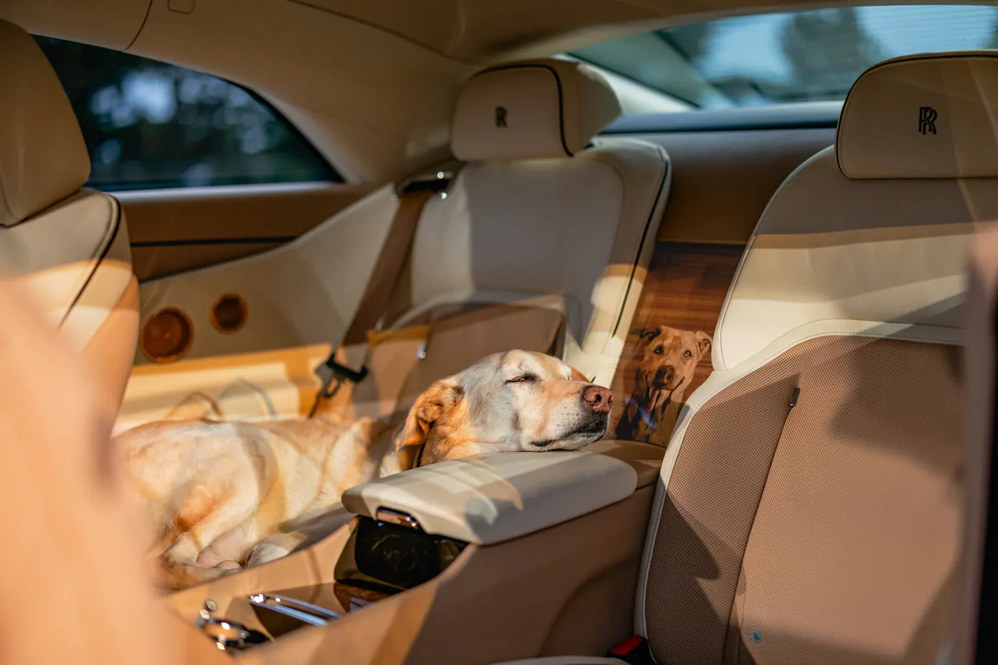 Единственные и неповторимые: любуемся новыми Rolls-Royce по спецзаказу