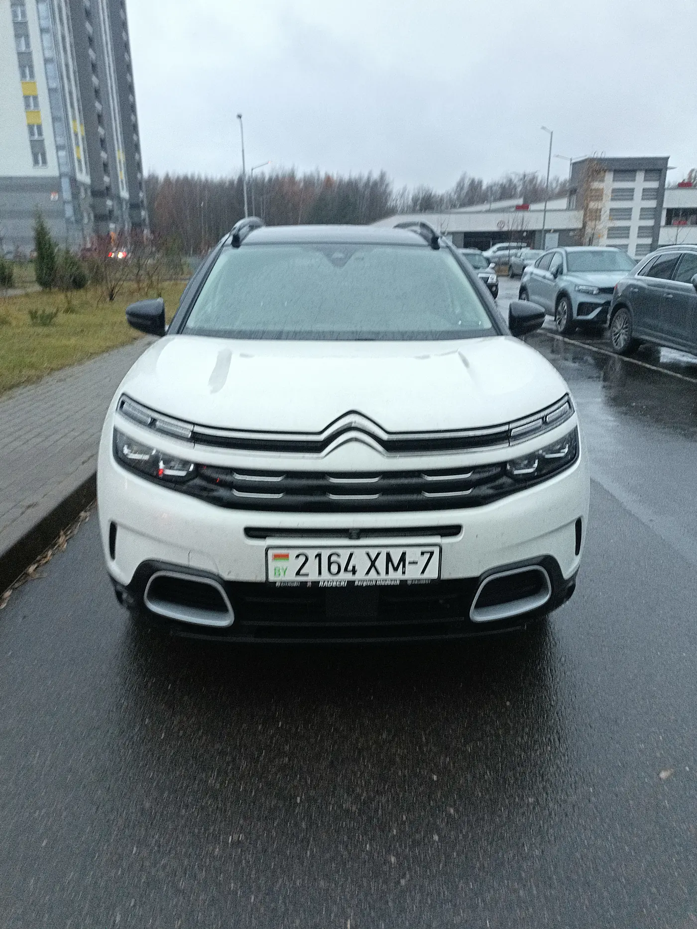 Citroen C5 Aircross I, 2019