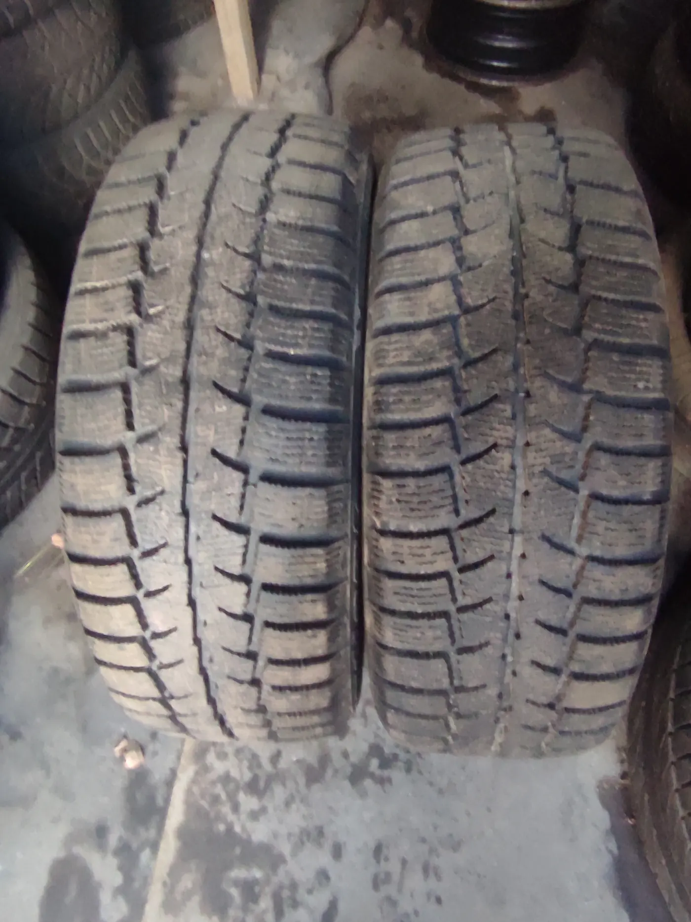 R16 205 55 Cordiant 123