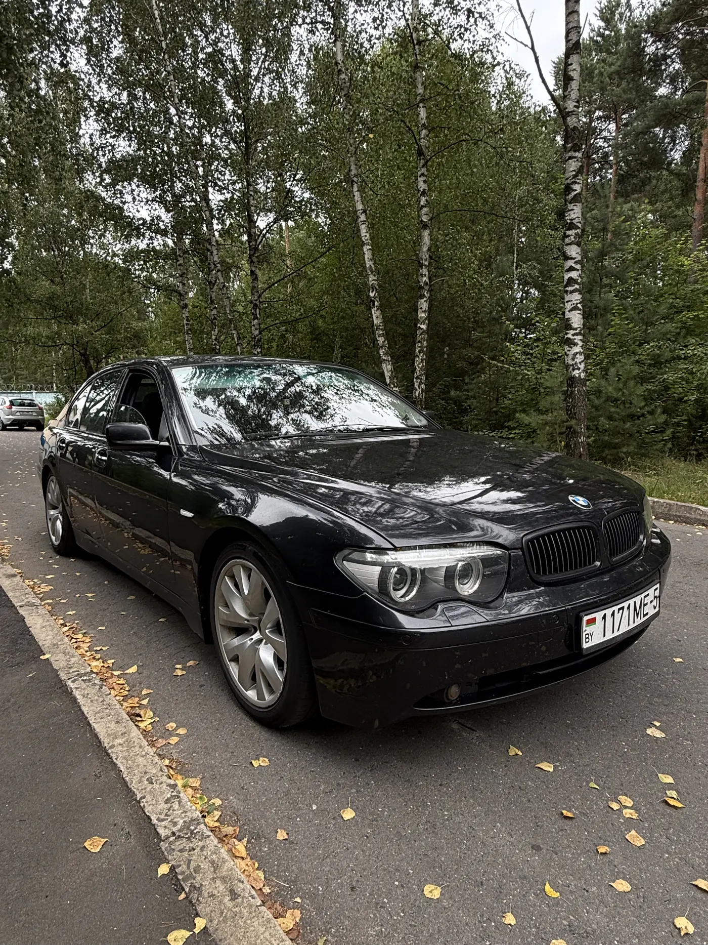 BMW 7 series IV (E65/E66), 2004