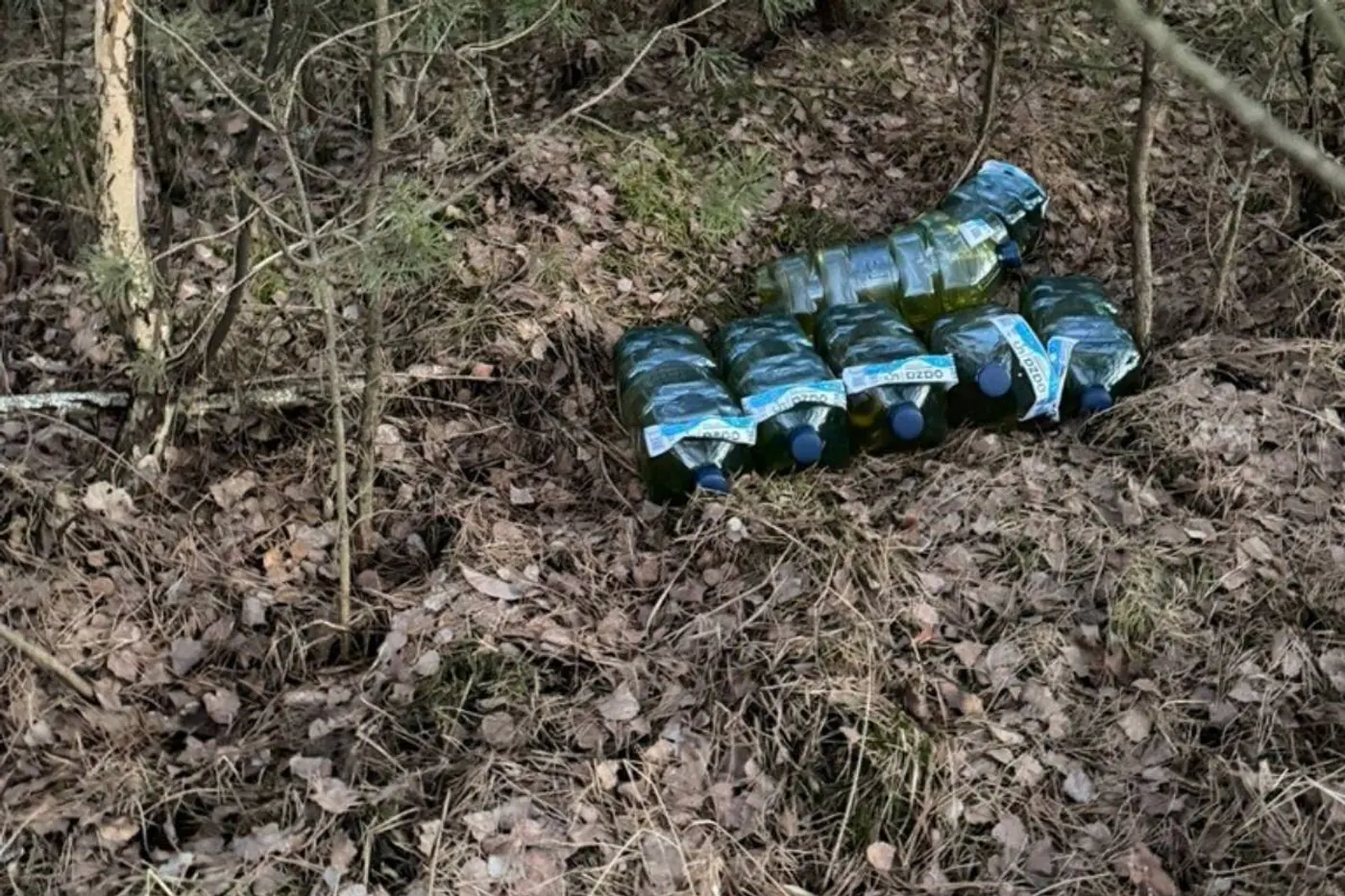 Белорусского дальнобойщика оштрафовали за «тайник» с дизтопливом в лесу