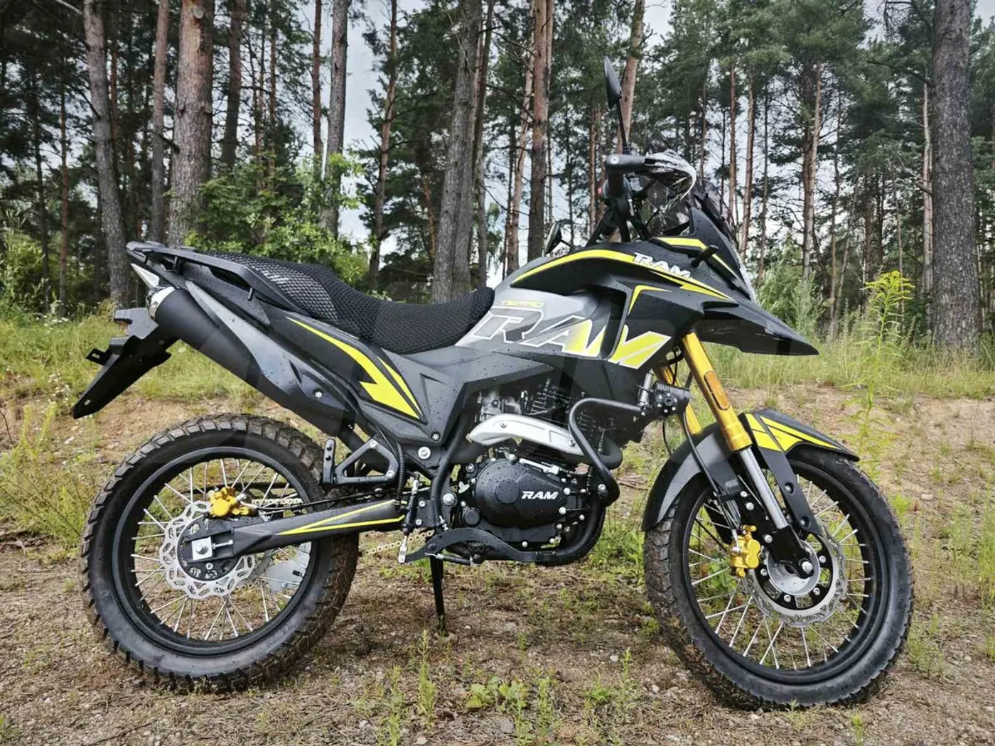 Ram TE PR PRO, 2025