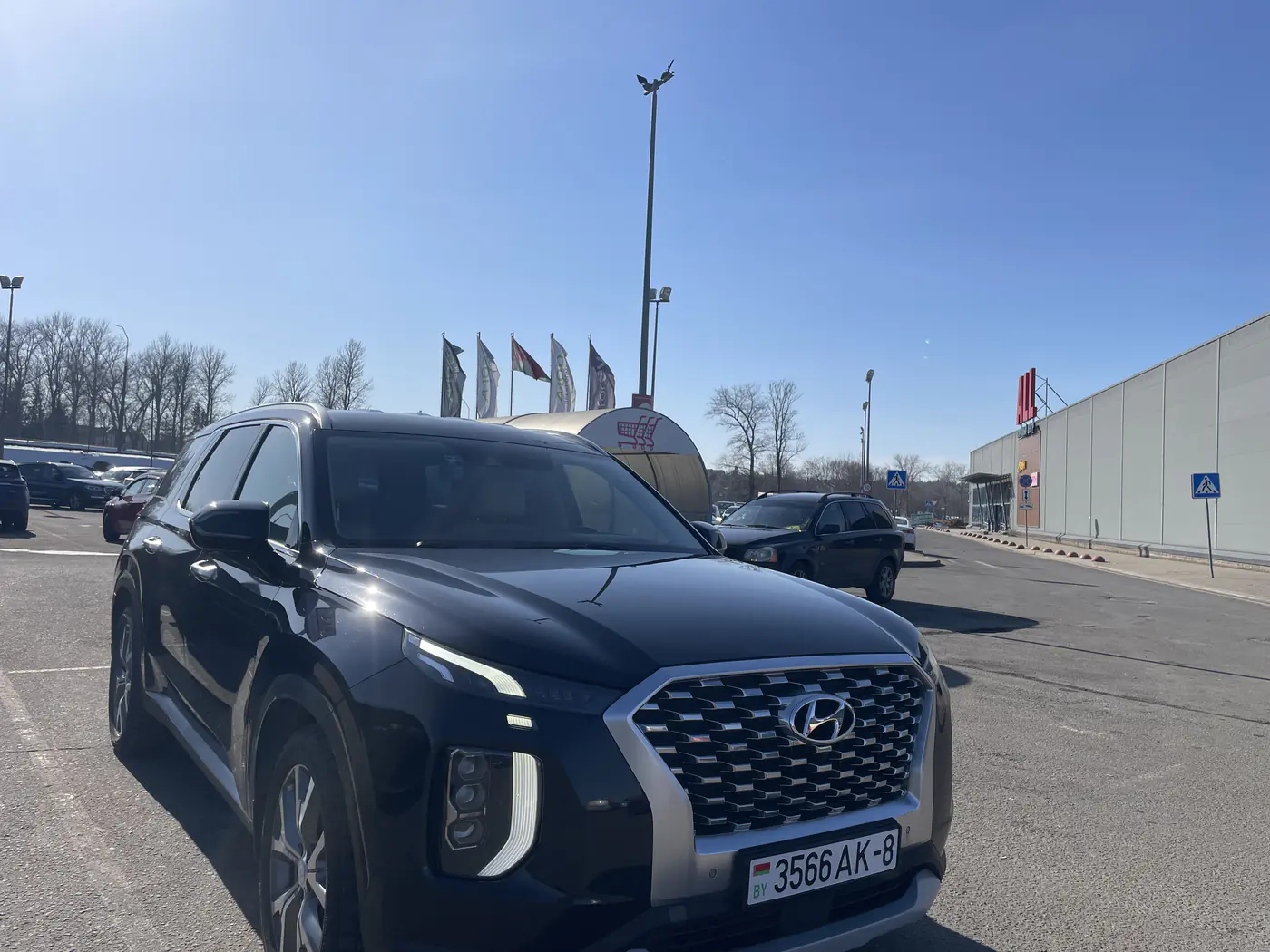 Hyundai Palisade I, 2020