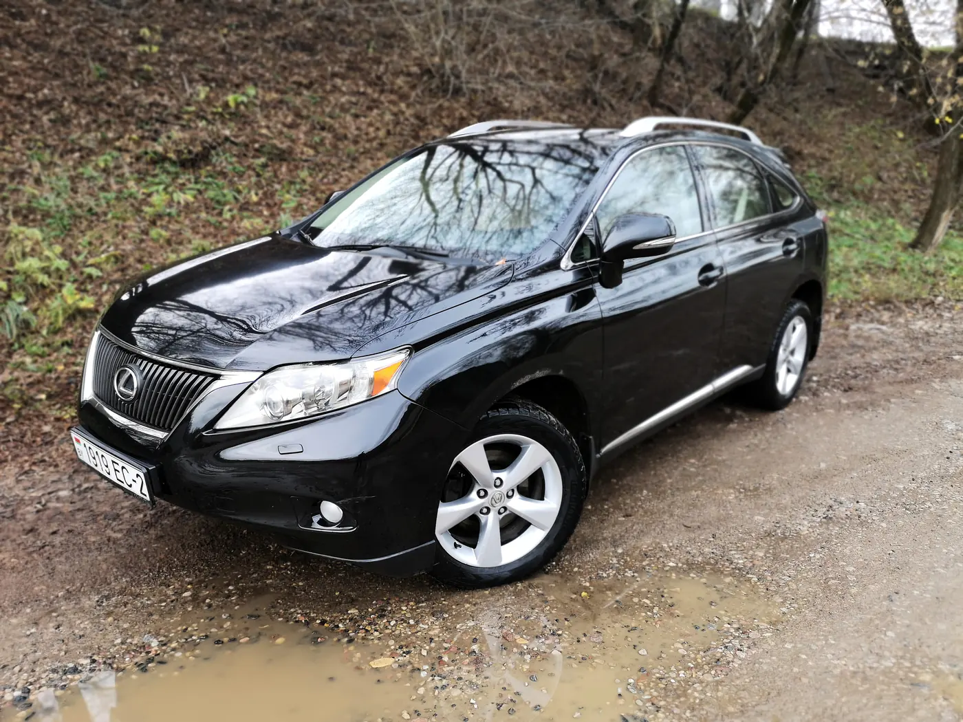 Lexus RX III, 2010