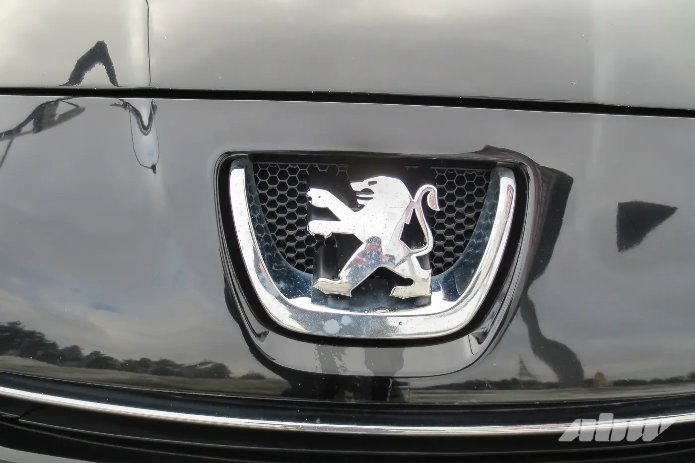 Peugeot_5008_эмблема