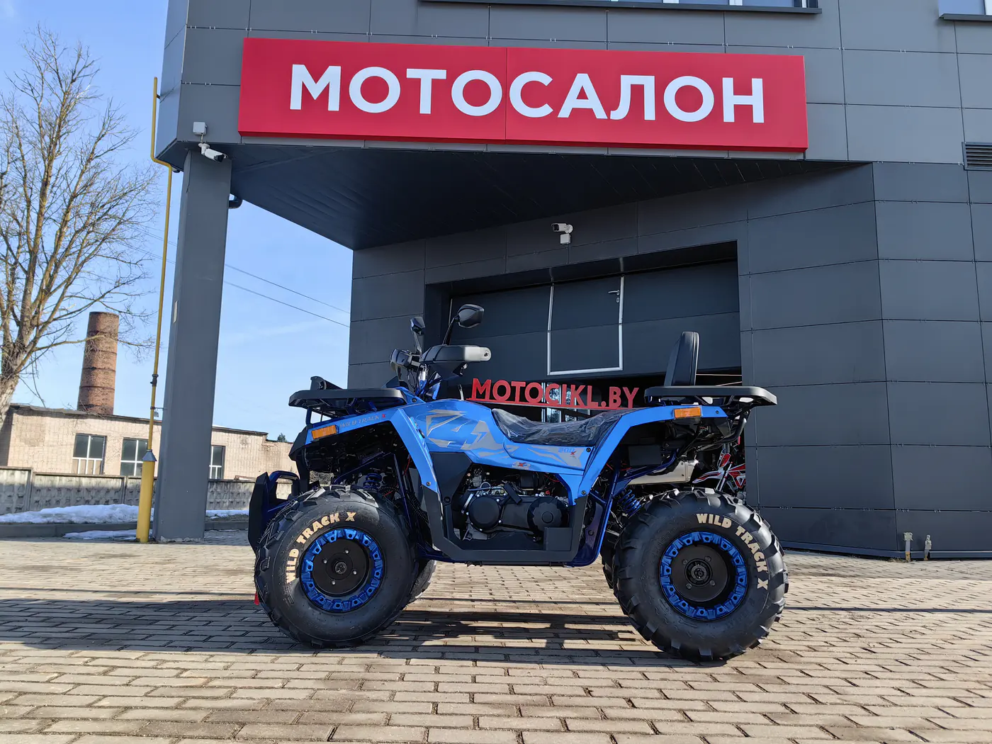 утилитарный Motoland Wild, 2025