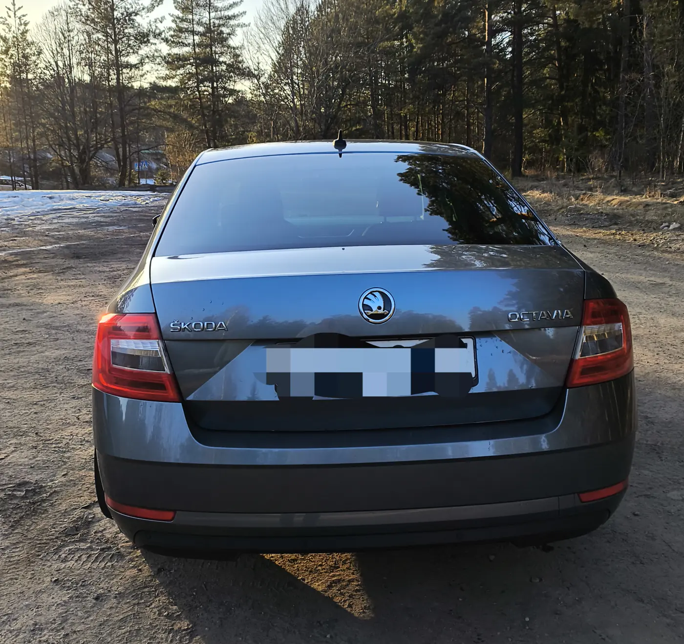 Skoda Octavia III (A7), 2017