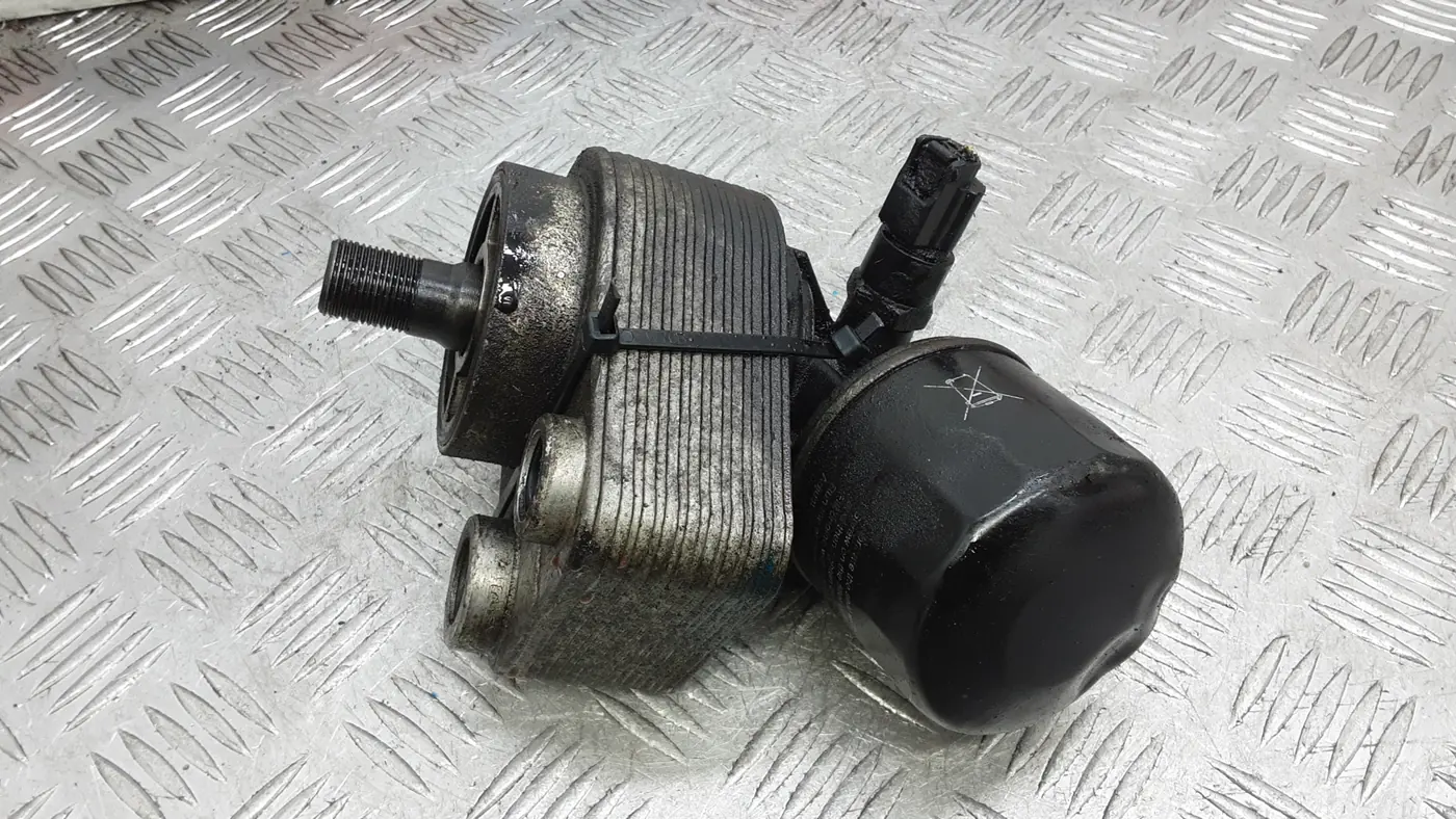 Корпус блока, элемента к Nissan Qashqai 2008