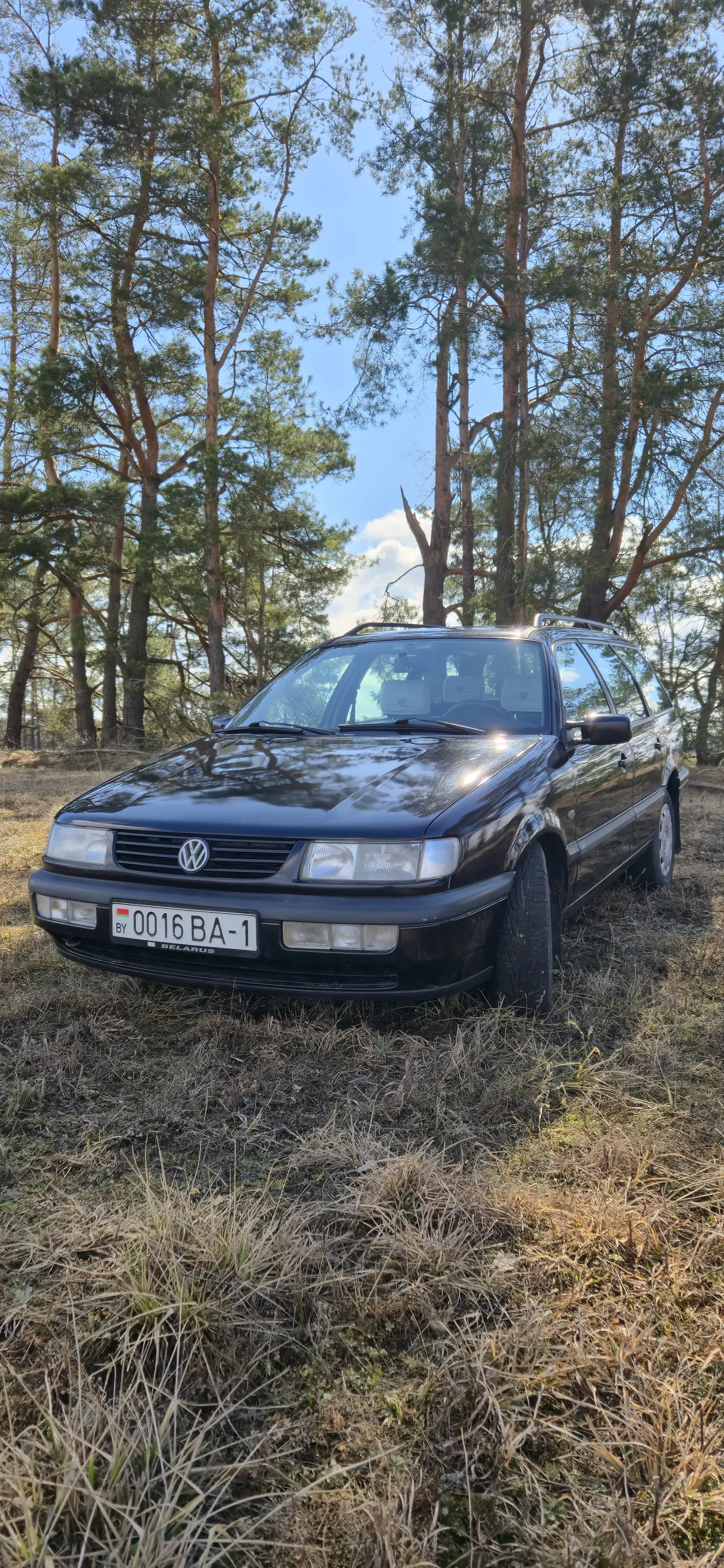 Volkswagen Passat B4, 1995