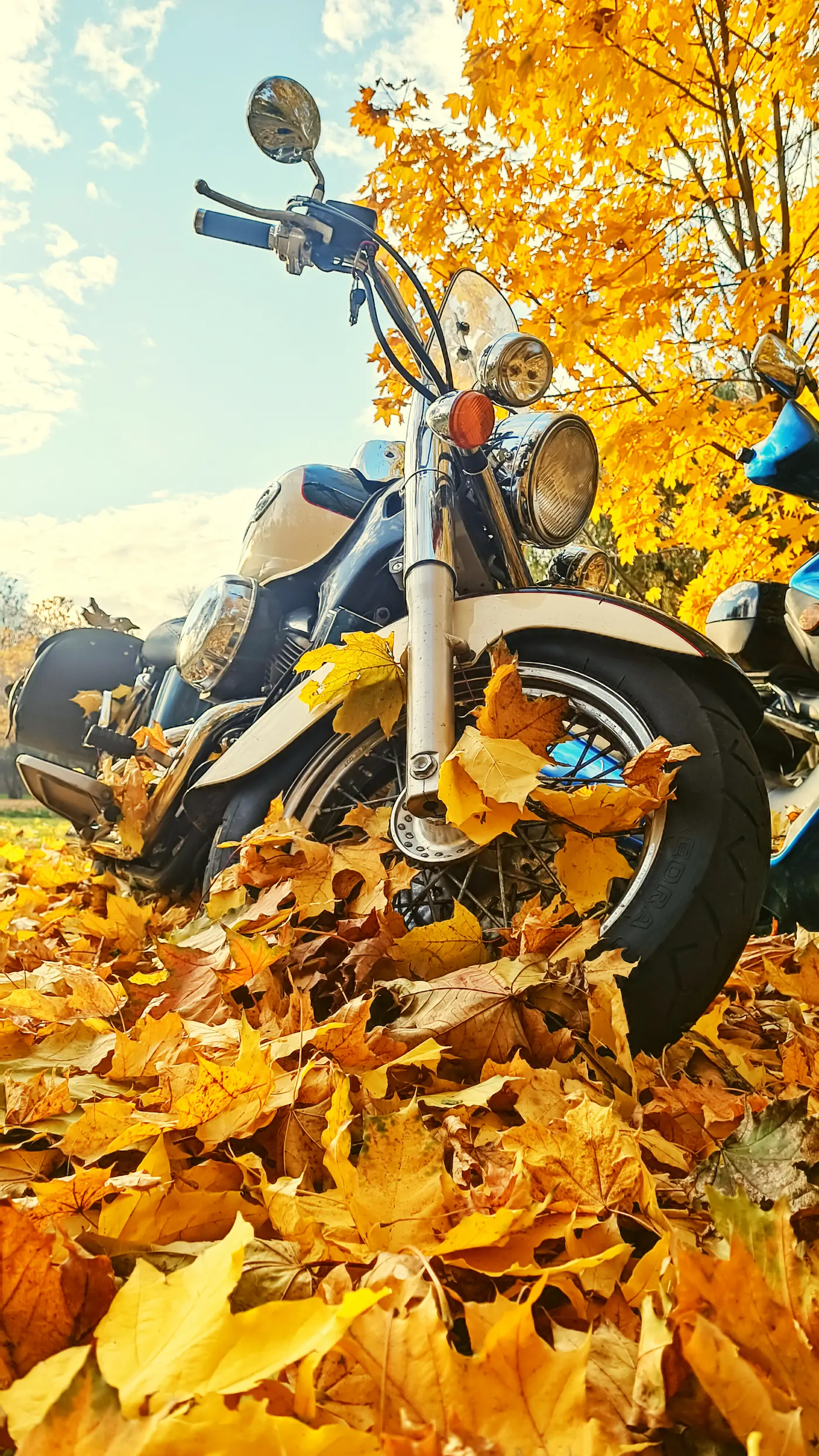 Honda VT 750, 1998