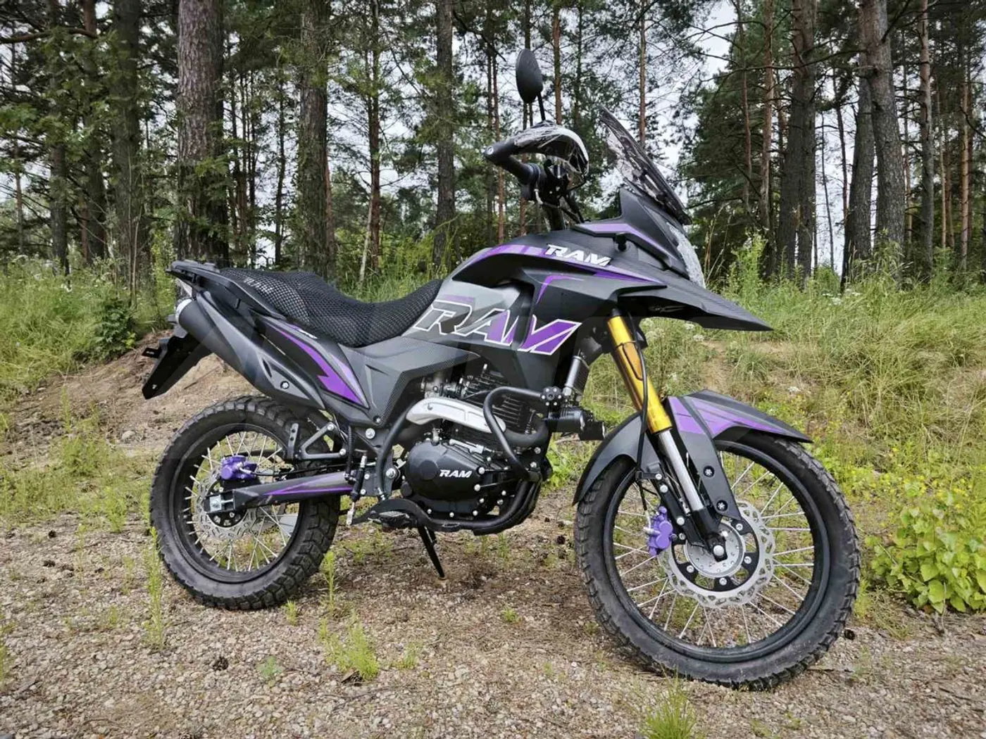 Ram TE PR PRO, 2025