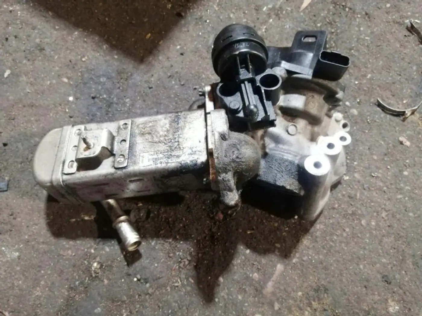 Радиатор EGR к Ford Focus 2011