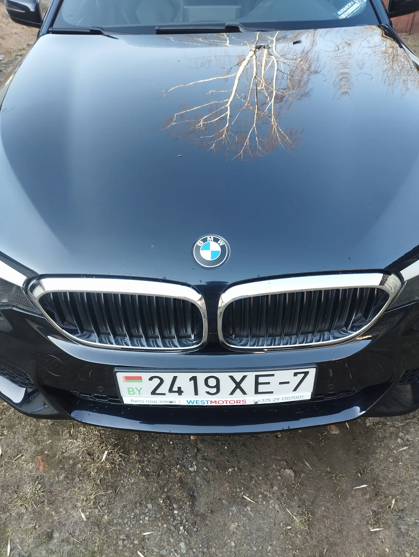 BMW 5 series VII (G30/G31), 2017