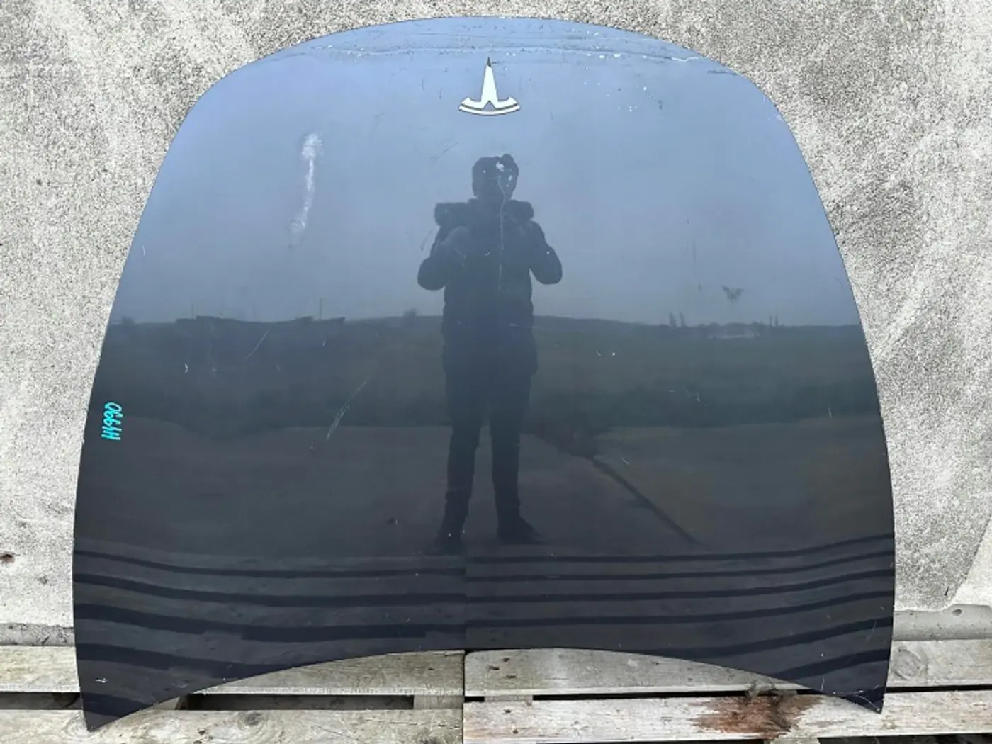 Капот к Tesla Model 3 2017