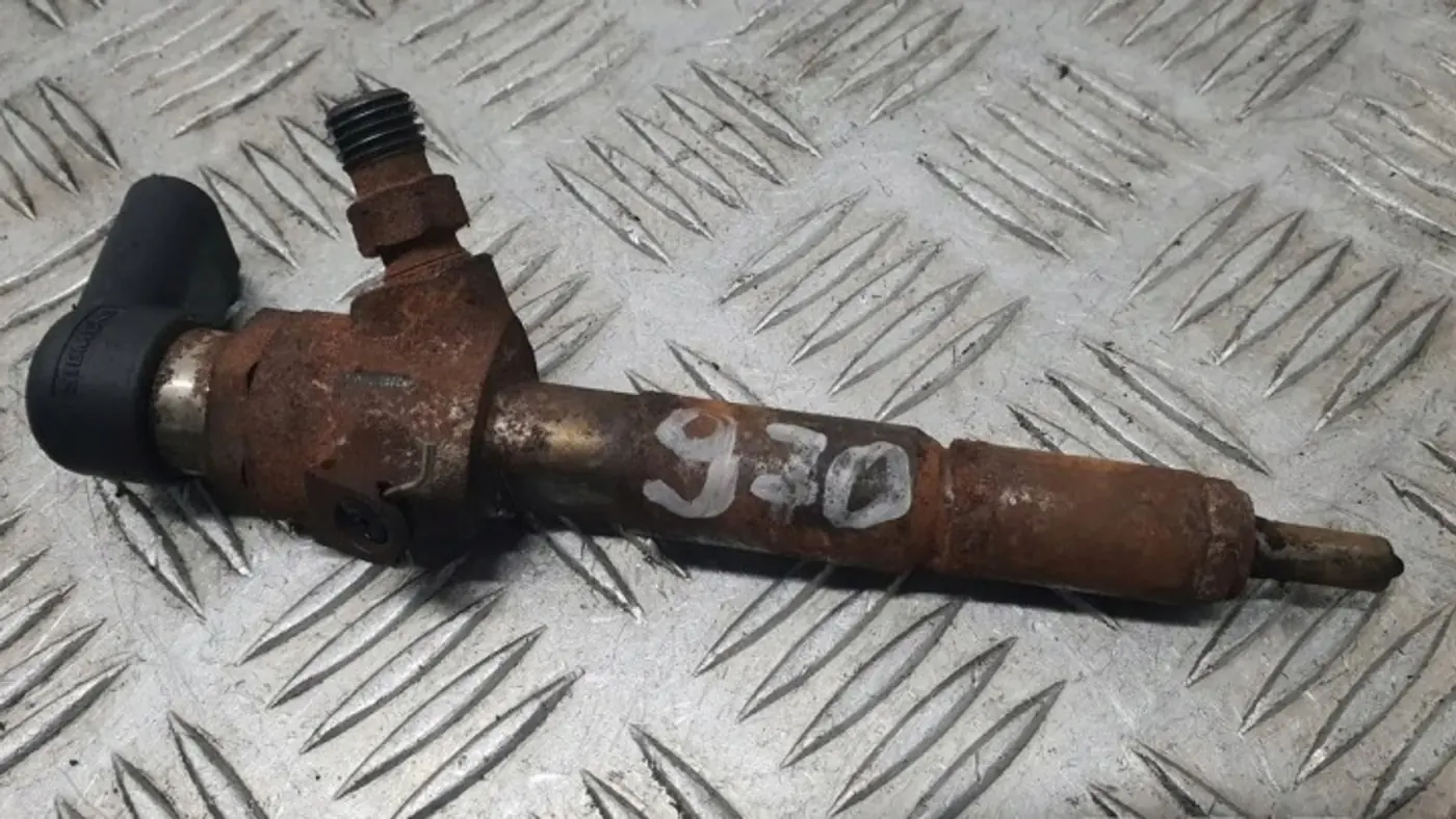 Форсунка к DS 5 2015