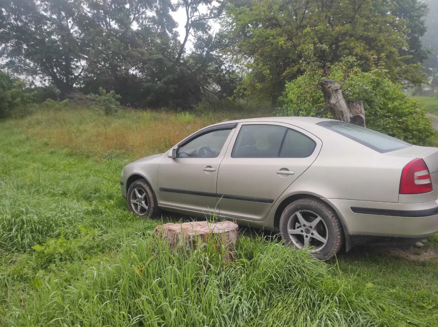 Skoda Octavia II (A5), 2005