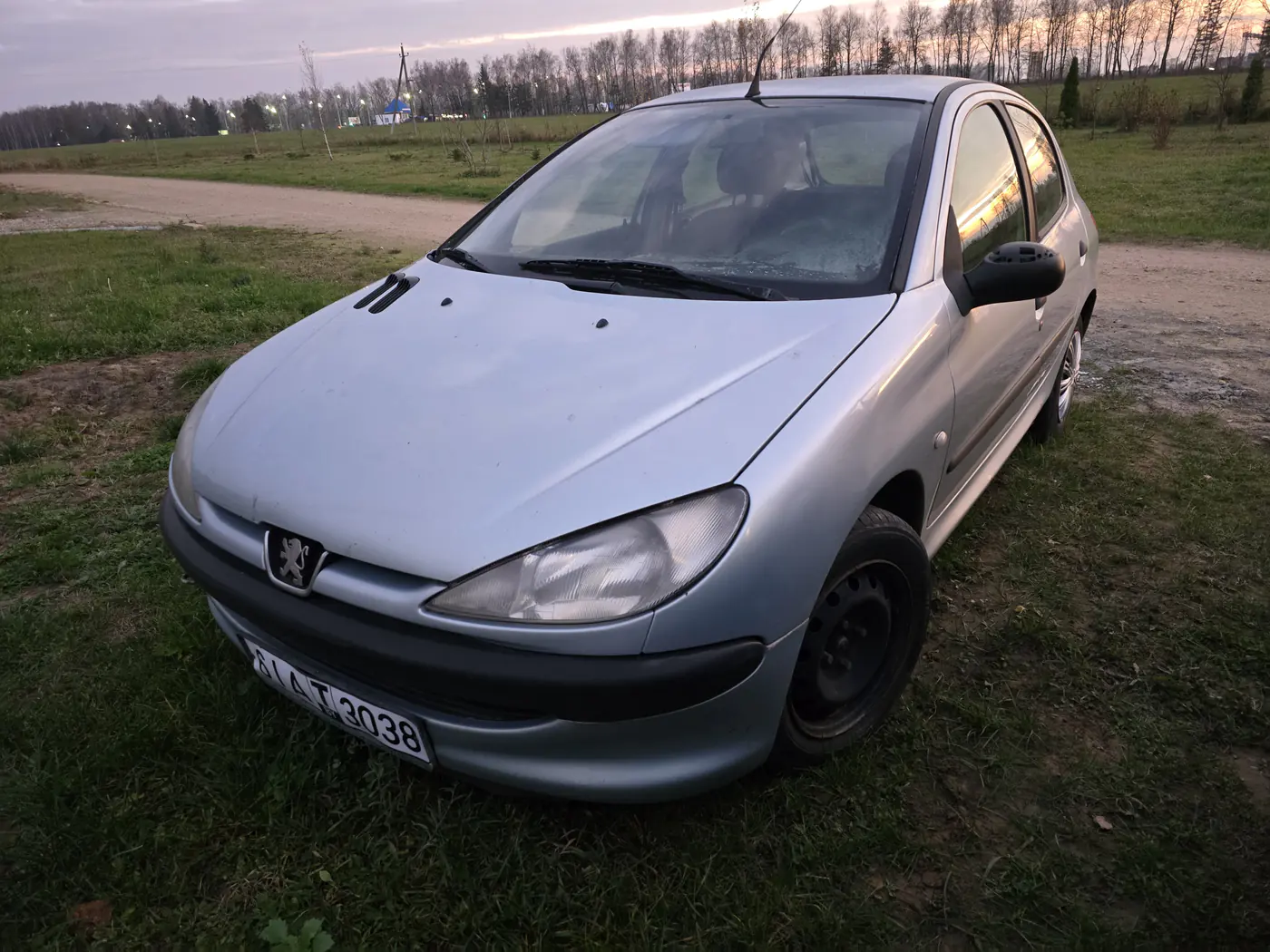 Peugeot 206 I, 2001