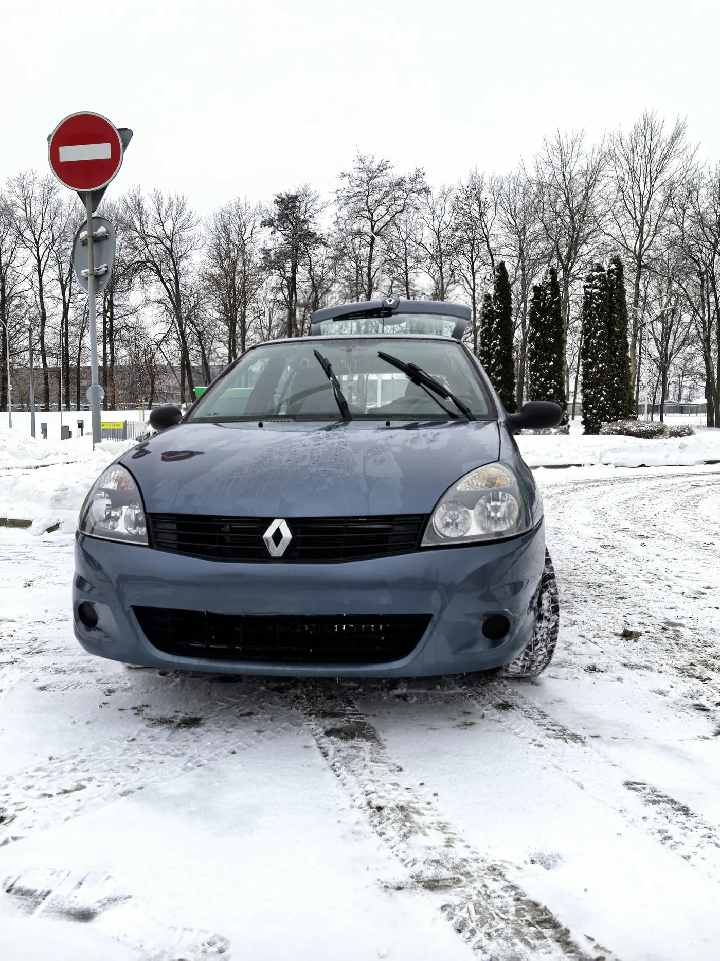 Renault Clio II Рестайлинг 2, 2010