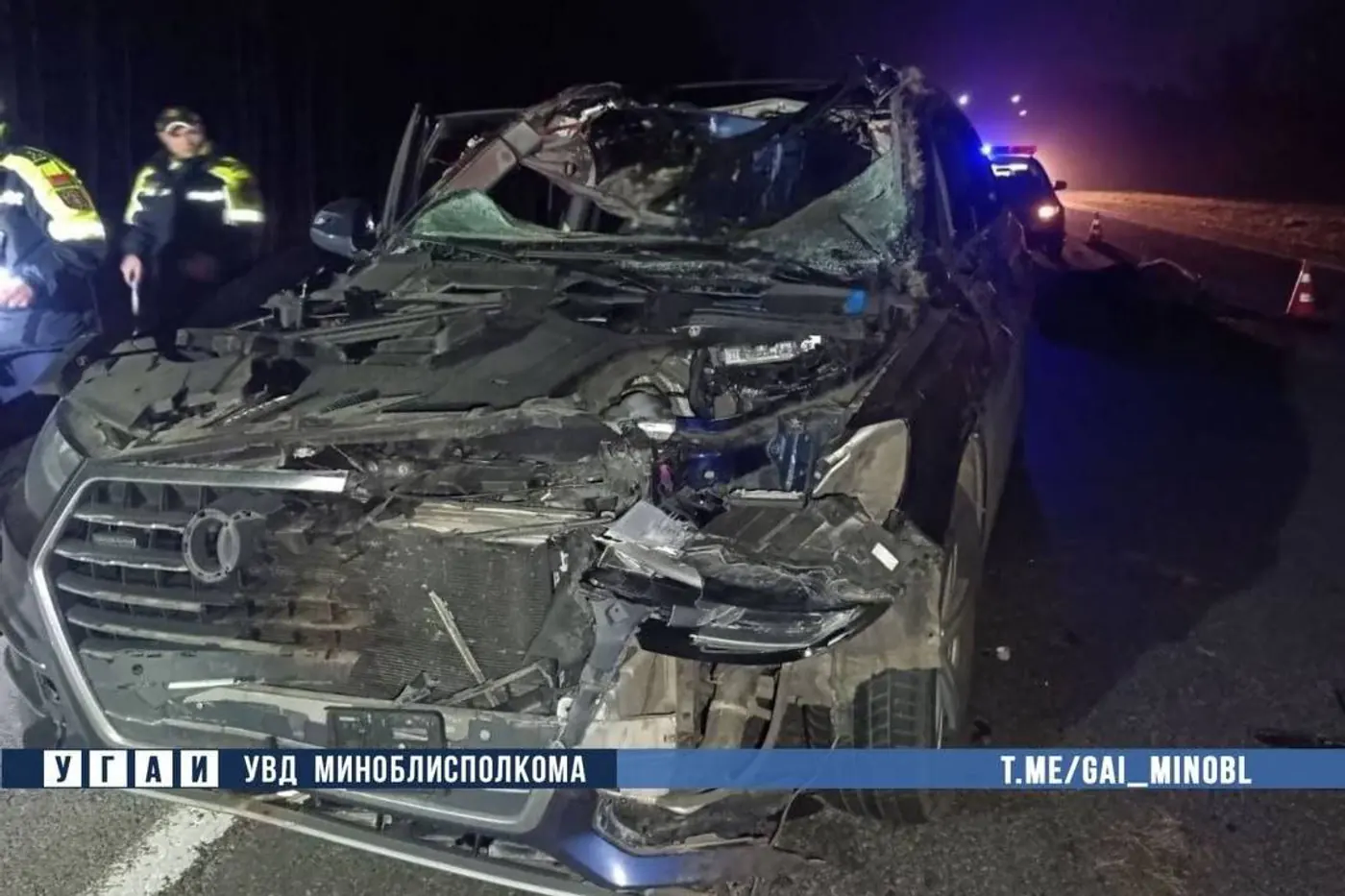 Лось выбежал на трассу М1: в ДТП под Смолевичами погиб пассажир