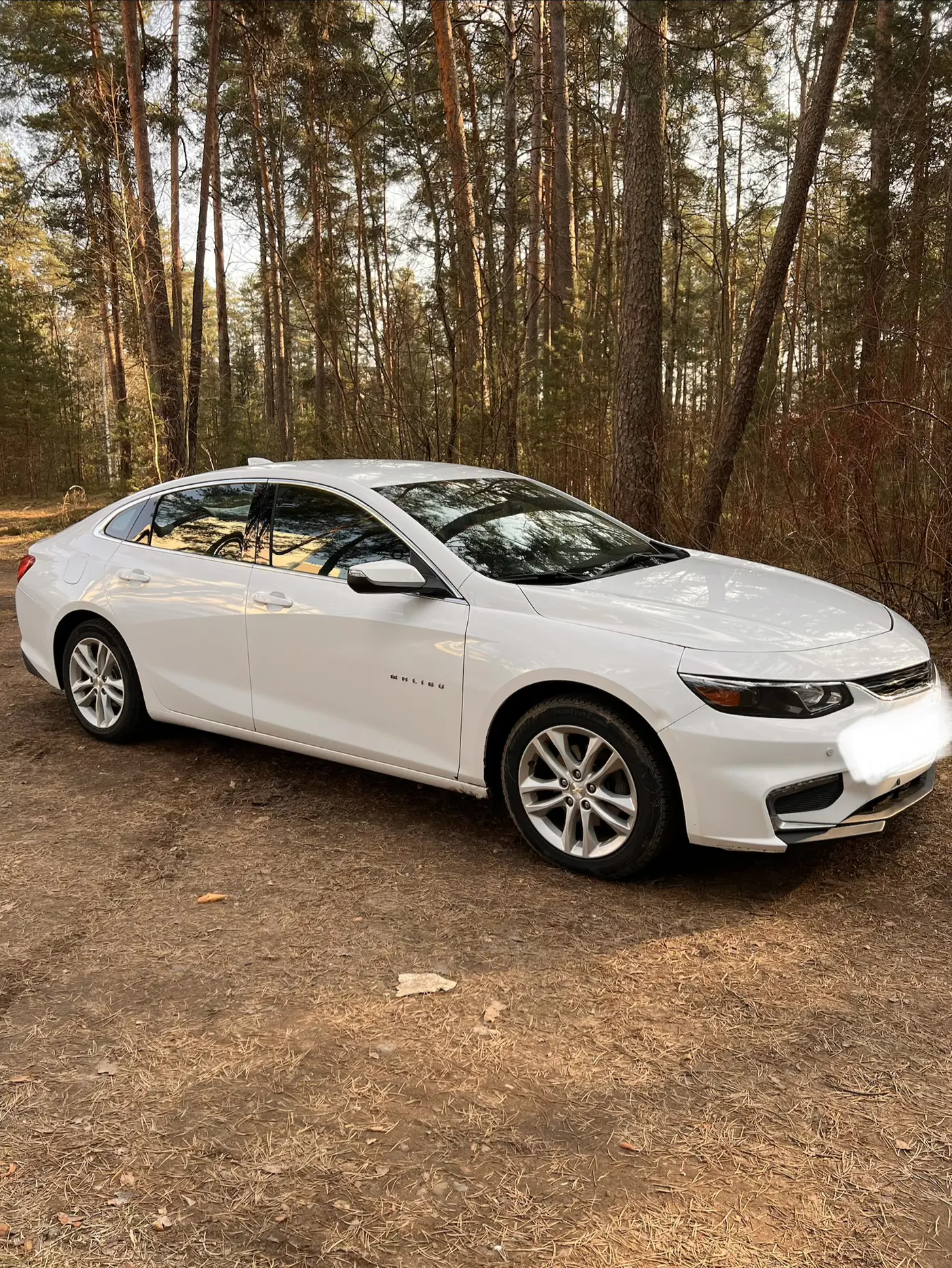 Chevrolet Malibu IX, 2018