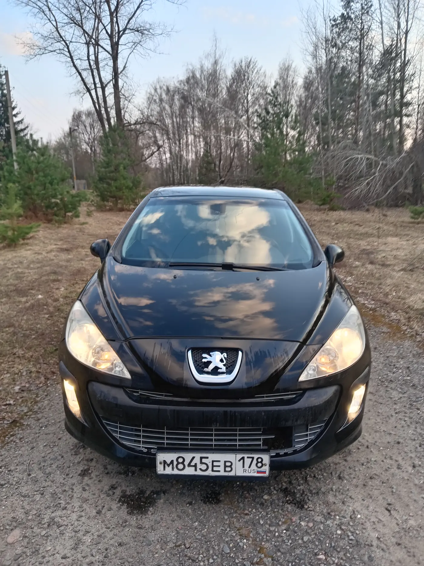 Peugeot 308 I, 2010