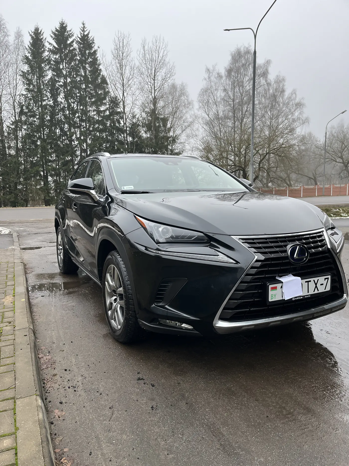 Lexus NX I Рестайлинг, 2019