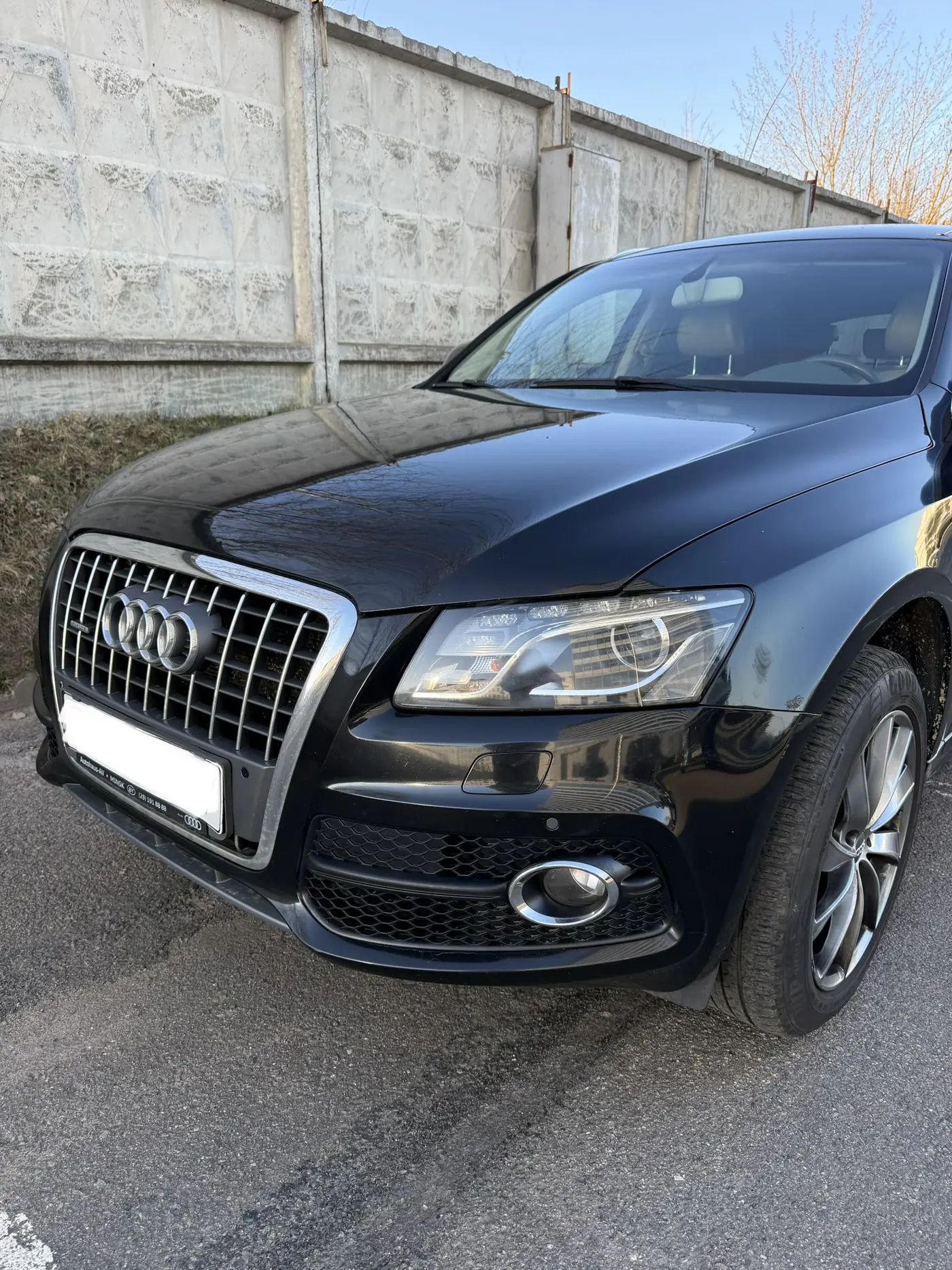 Audi Q5 I (8R), 2011