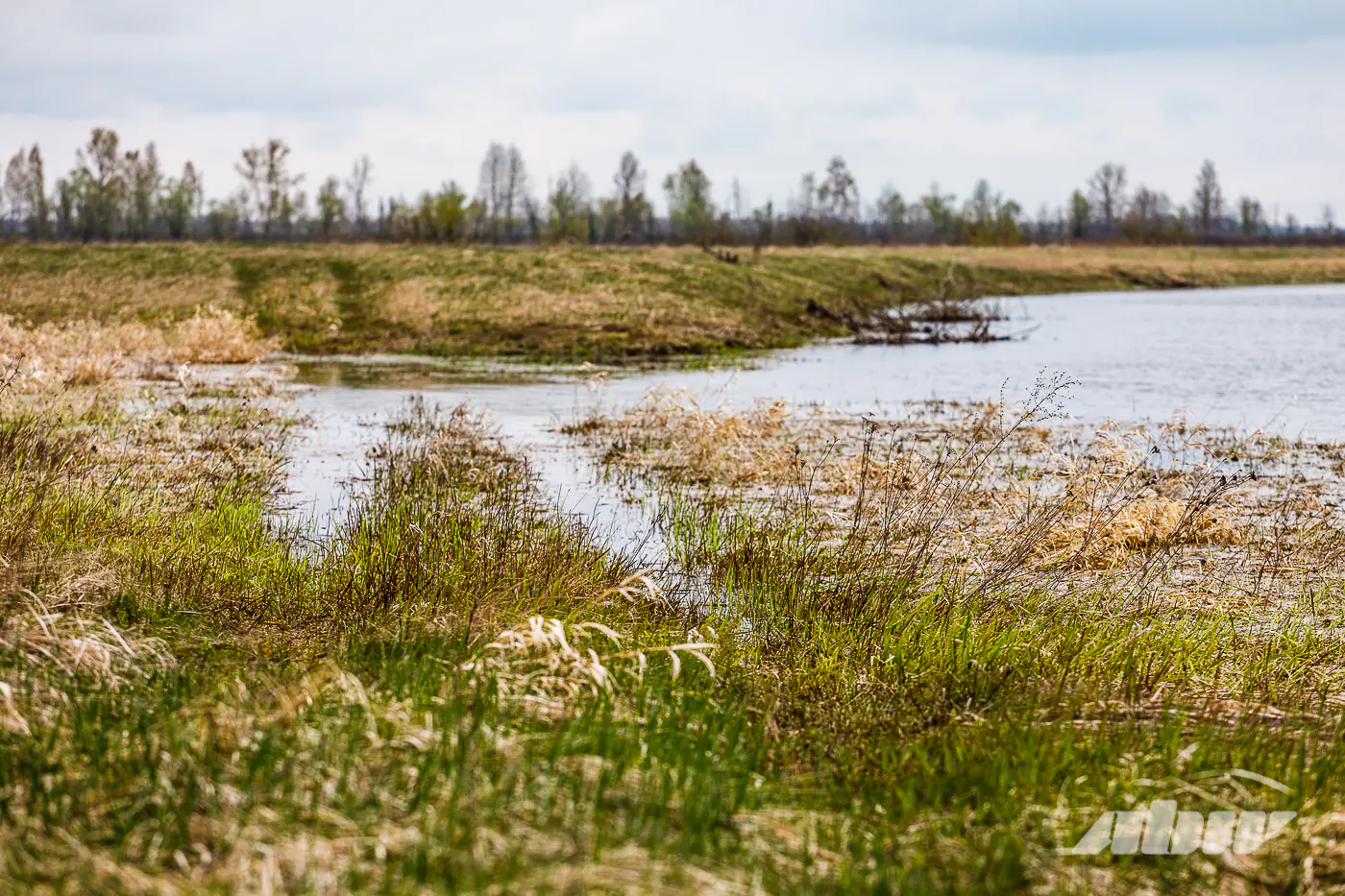 Апрельские забавы: едем на поиски моря Геродота на белорусском JAC T9