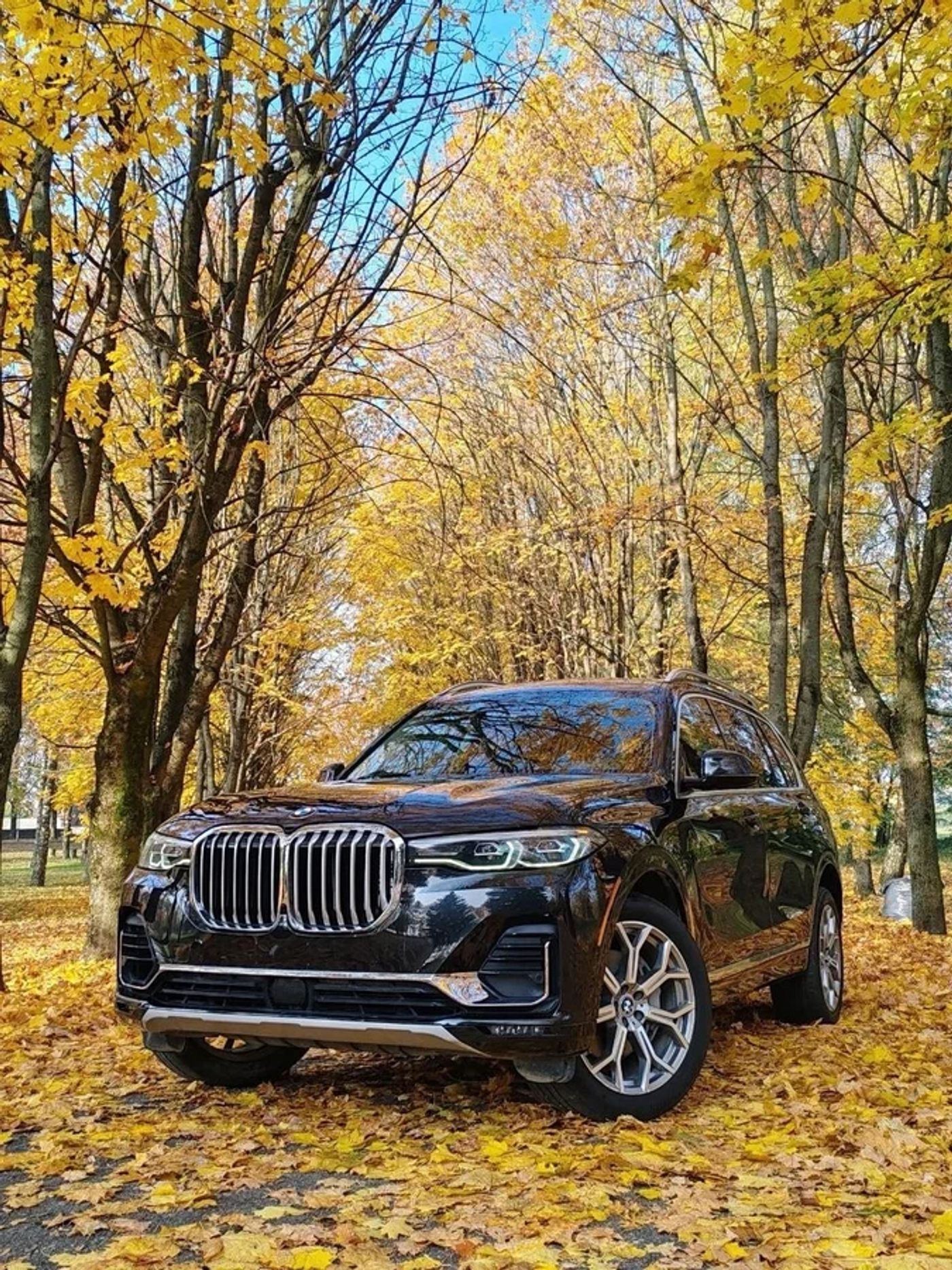 BMW X7 I (G07), 2020